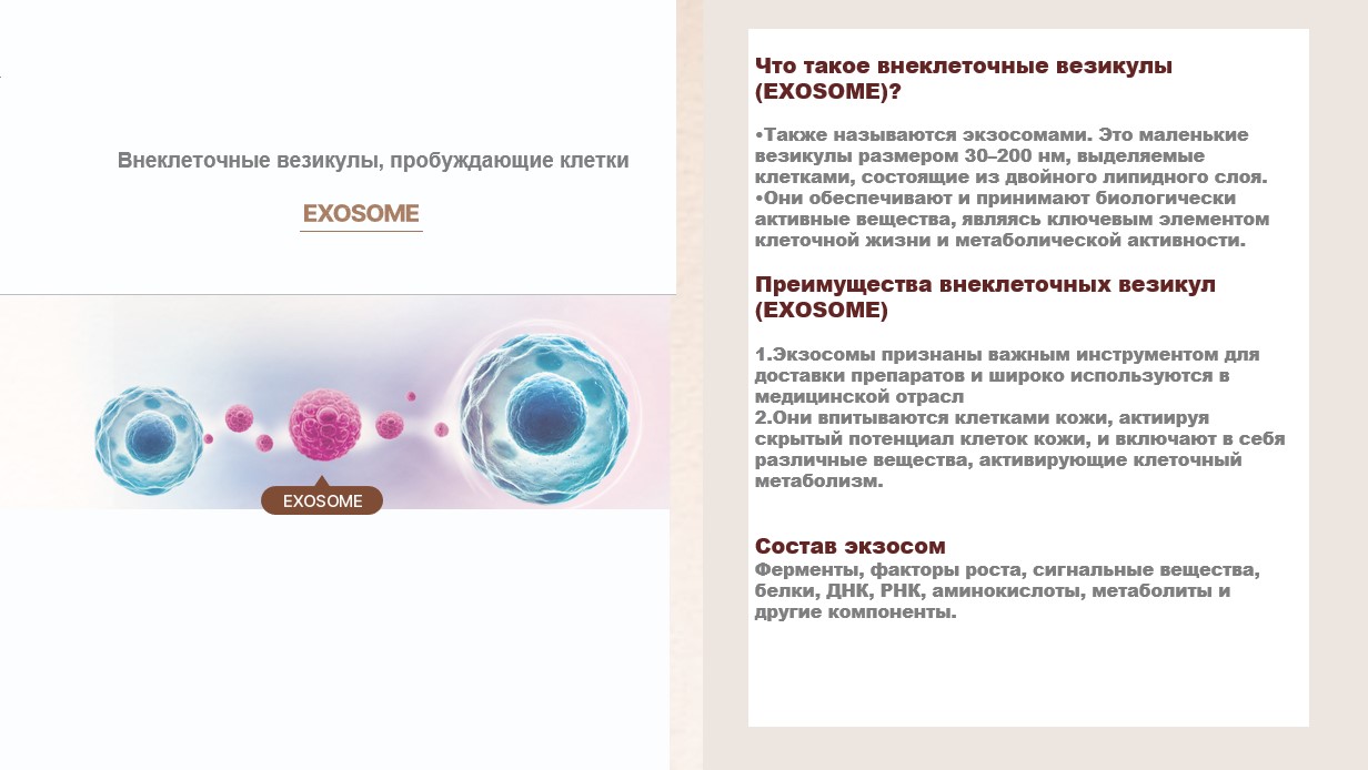 СЕТ4.jpg